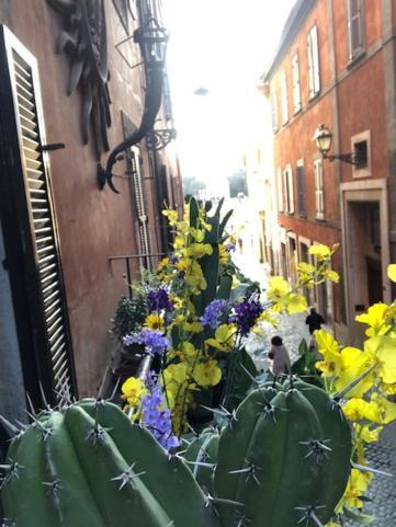 Charme Luxury Flat Campo Dei Fiori Rome