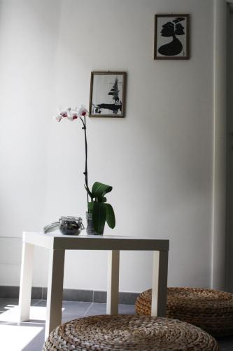 Bed & Breakfast Salotto Piramide Rome