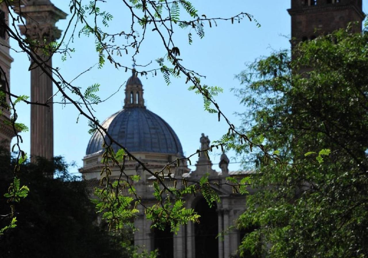 Vatican Catone *