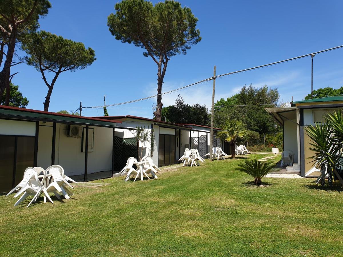 Campsite Aurelia Club