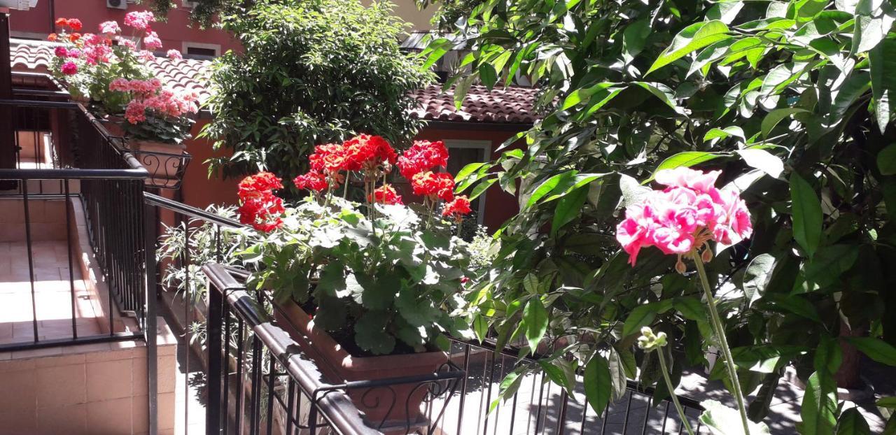Gioia Rome