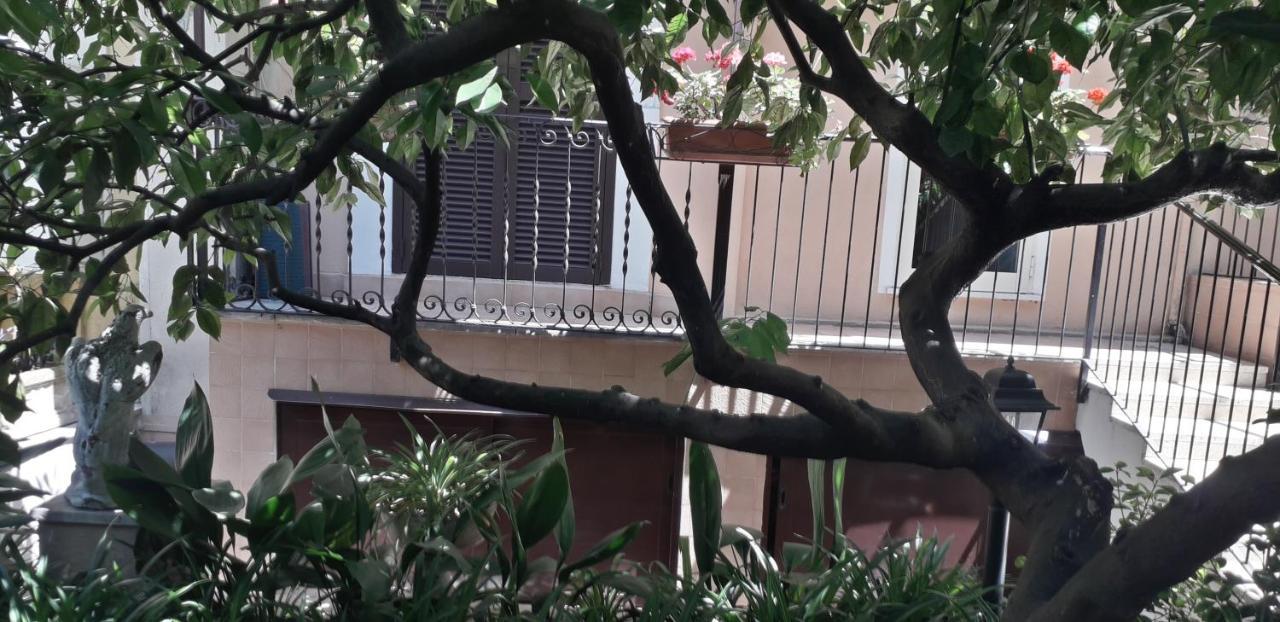 Guest house Gioia 2*