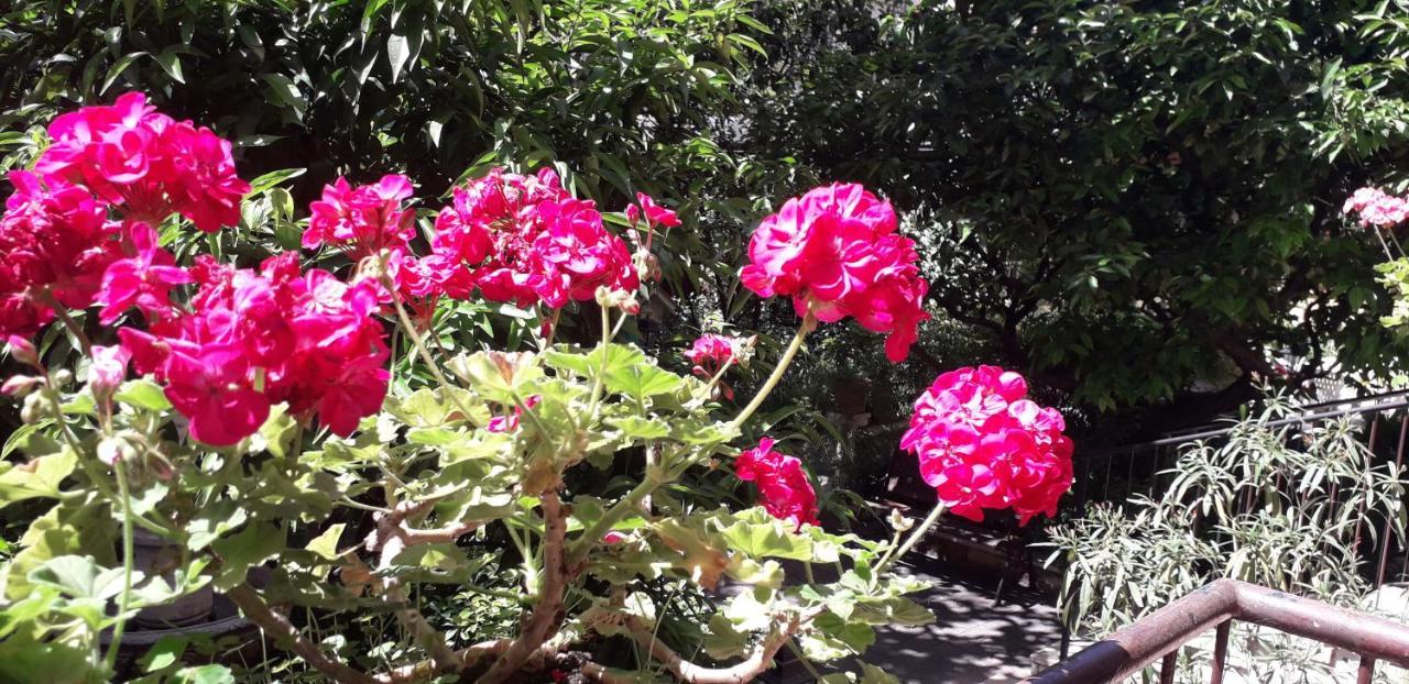 Gioia Guest house 2*