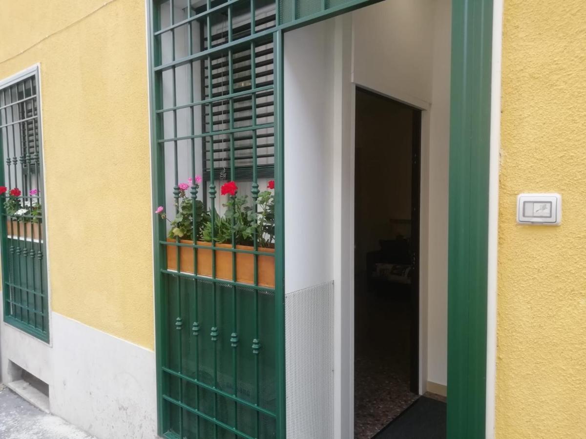 Apartamento Urbino 33