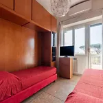 Monteverde Roomy Apartment Sun And Flowers