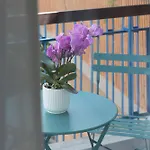 Zaccardi Roof Garden