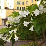 La Fontana Nel Cortile