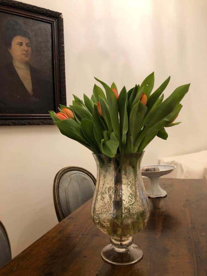 Appartement Visione Via Sant'andrea Delle Fratte, 36