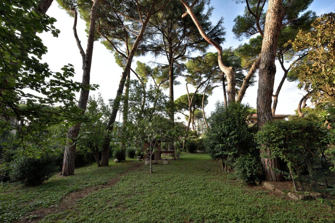 Guest house Comfort Gaia Tor Vergata Rome
