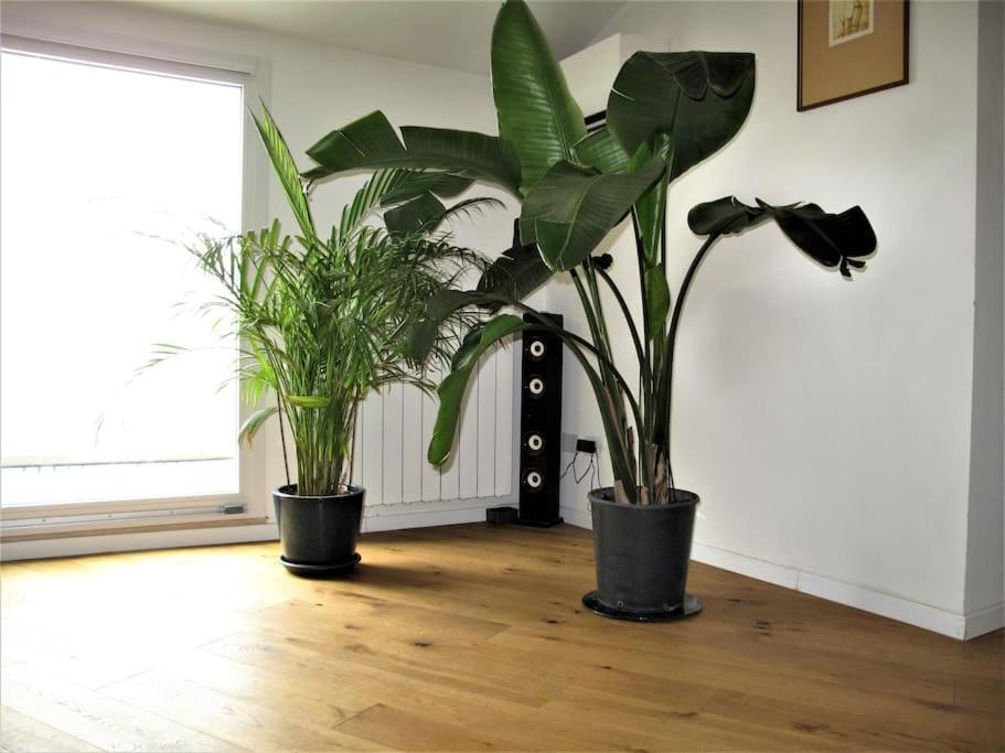 Apartment Prati Fiscali Penthouse