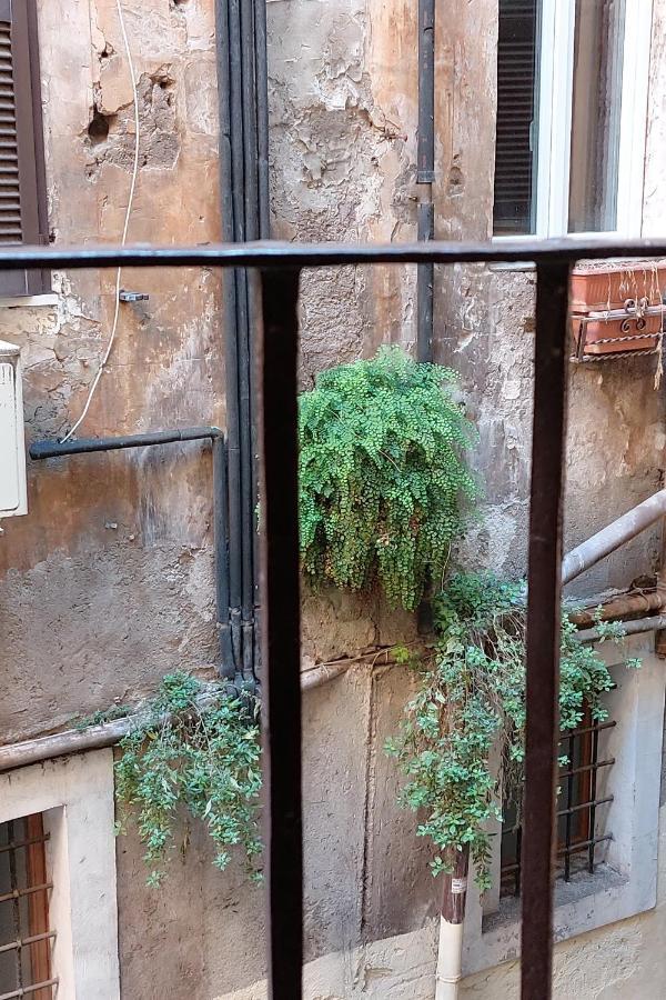 Appartement Cappellari