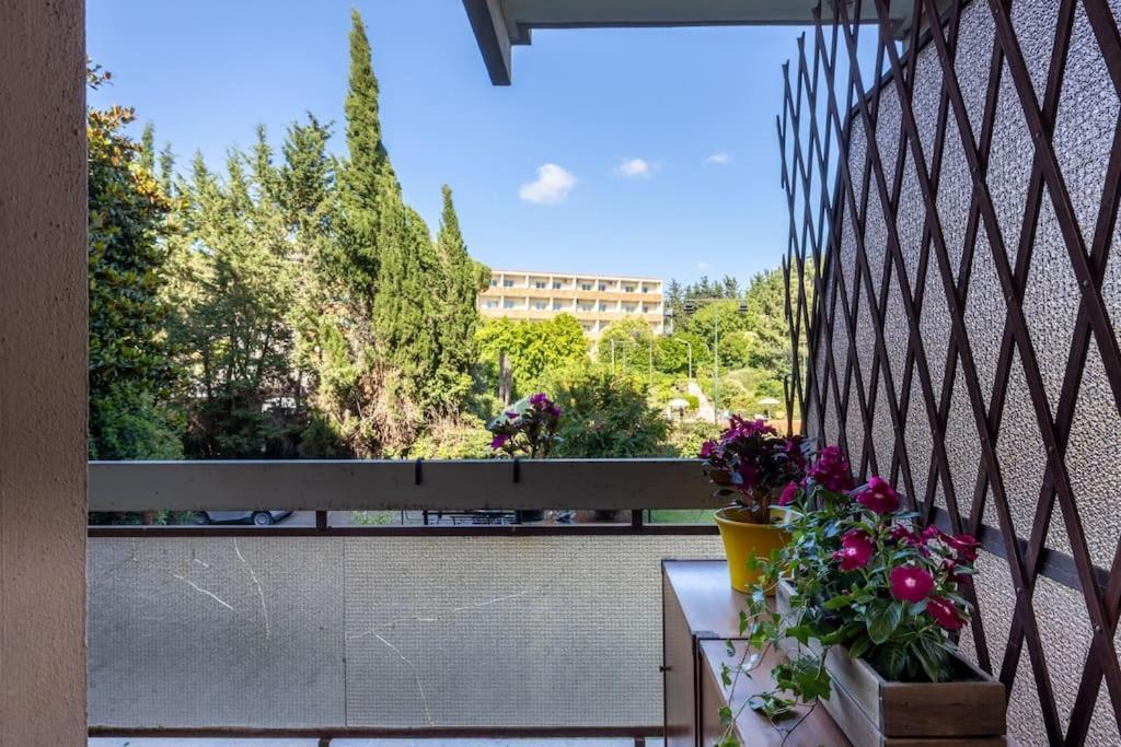 Plaza Cheery Appartement