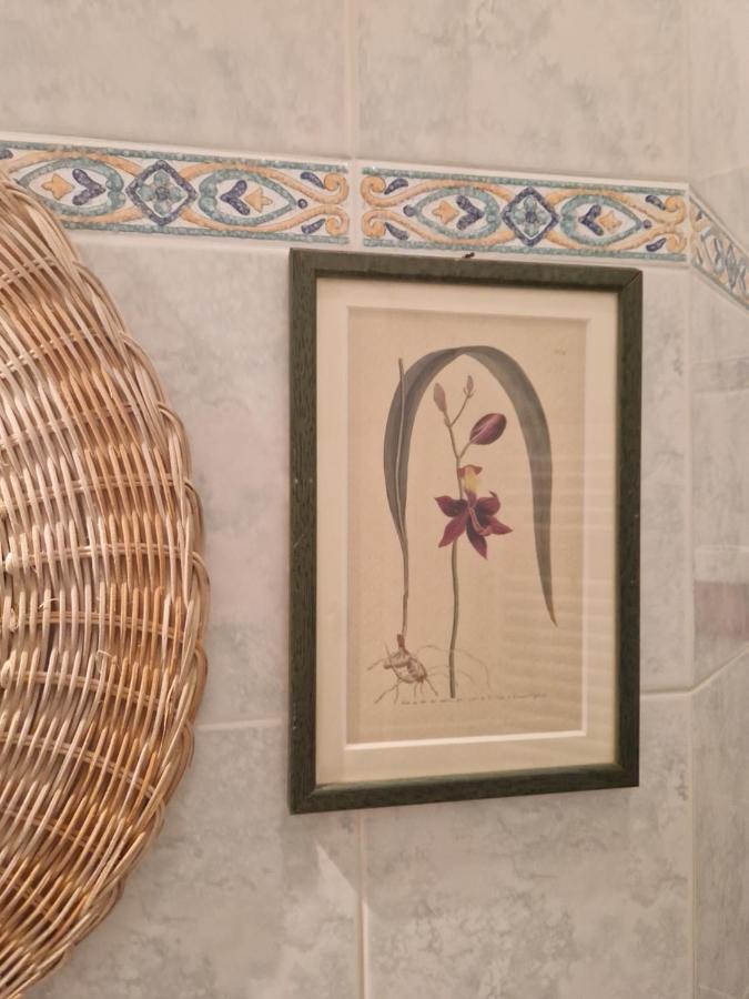 At Monica's In - Stazione Labaro Apartment Rome