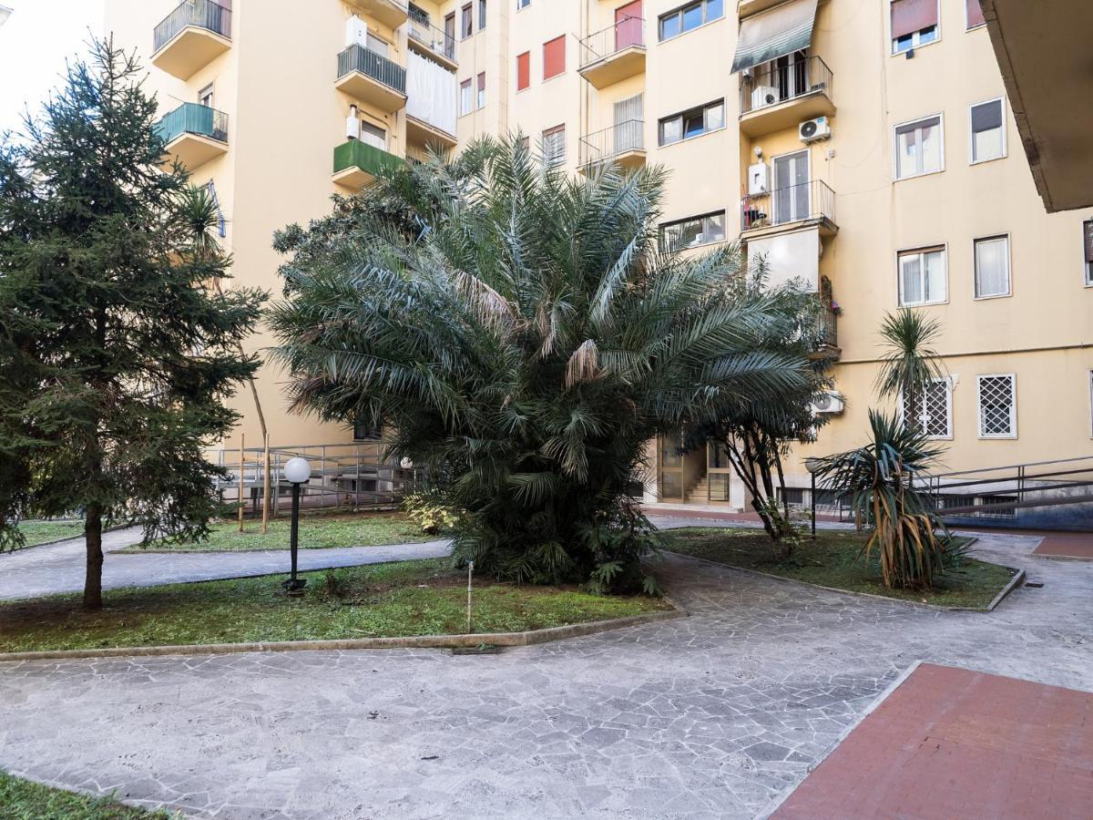 50 Appartement