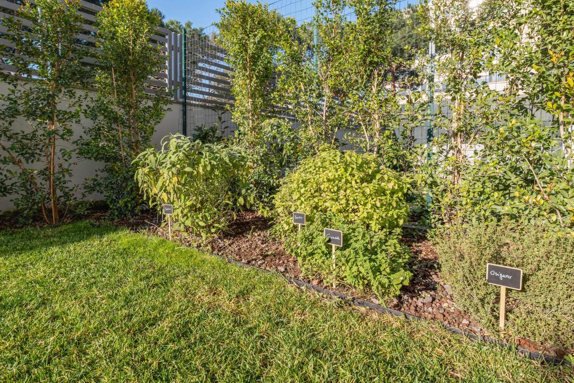 Apartamento The Tropical Corner By Rentbeat *