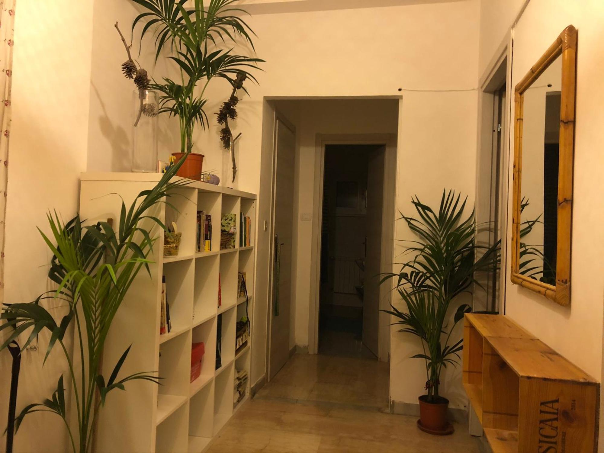 Lizartgarden Panoramic * Rome
