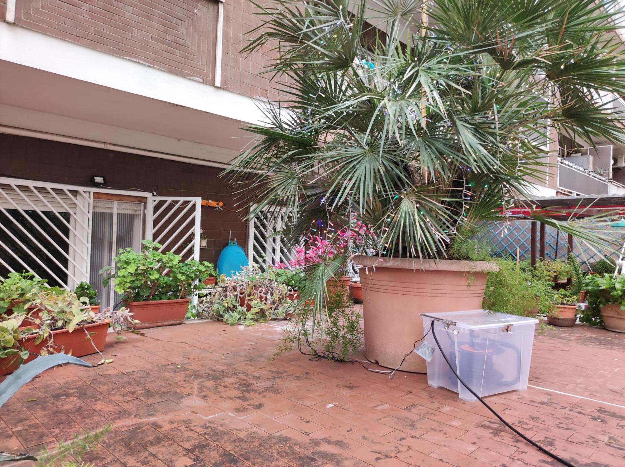 Terrazza Di Ernesto Apartamento Roma