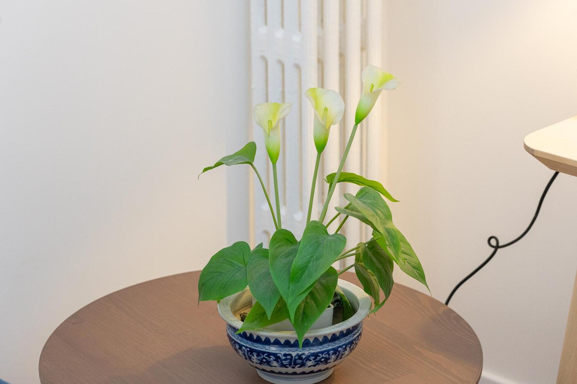 Faleria By In Appartement *