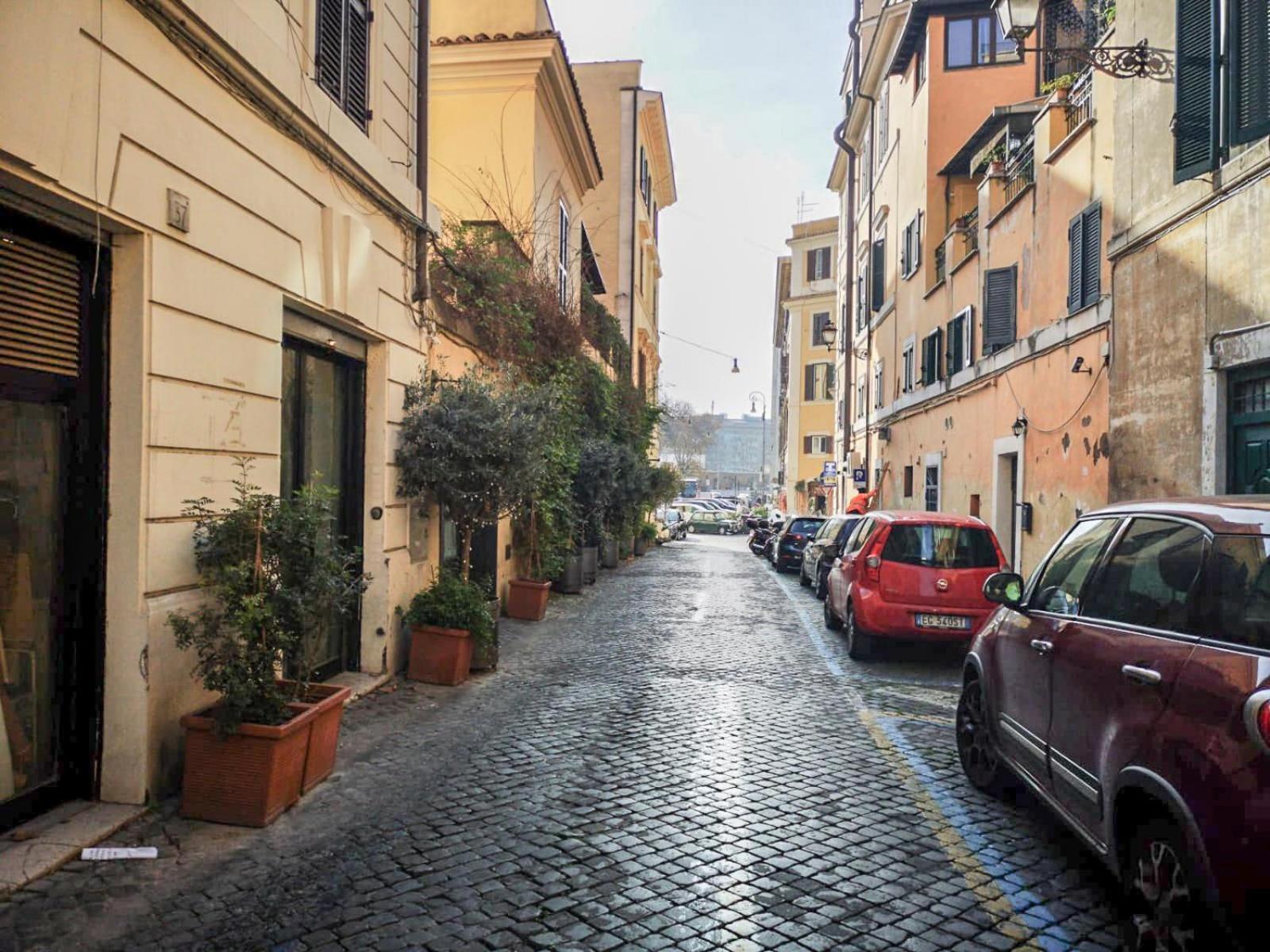 Flatinrome Trastevere Deluxe - Patio Guest house 3*