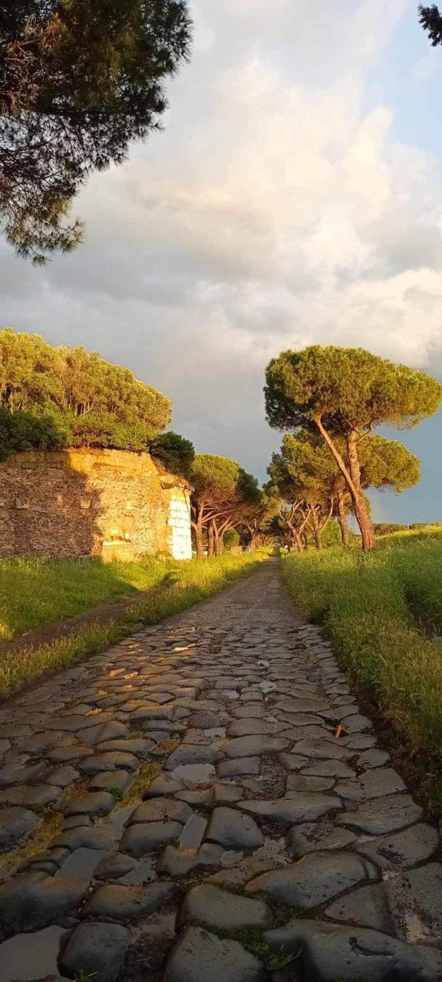 Questa Casa Non è Un Ciu-atr 9390-9 *