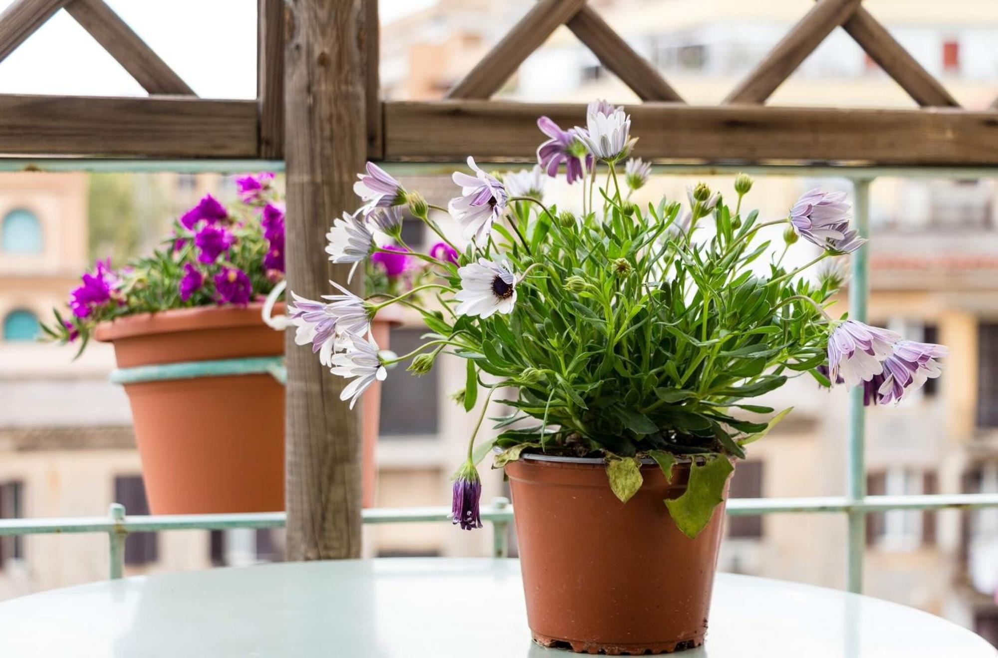 Guest house Torripa Group - Prati 3*