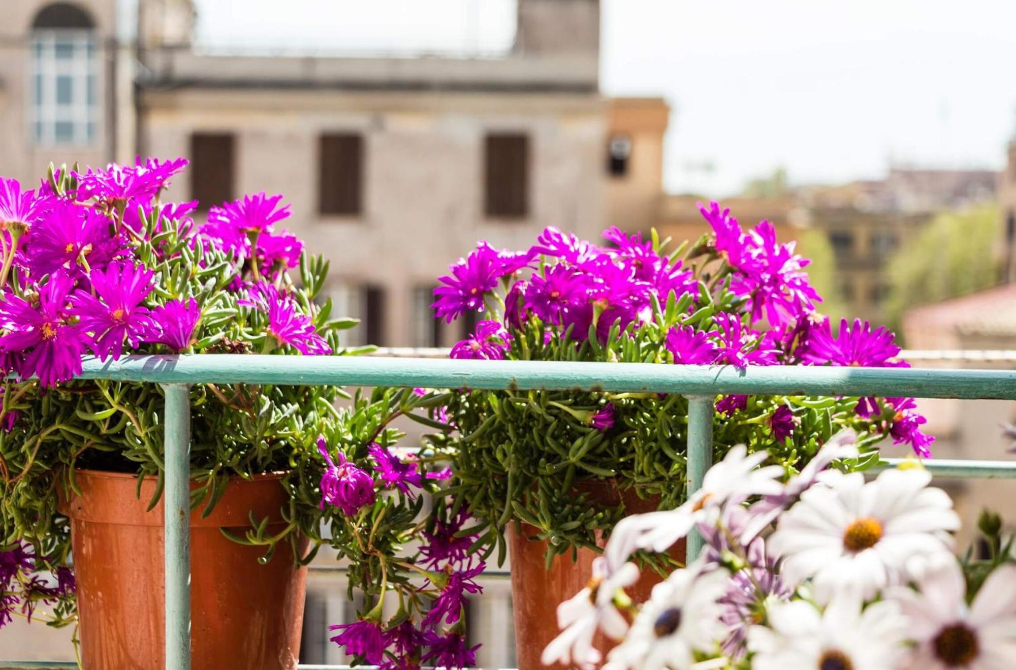 Torripa Group - Prati 3* Rome