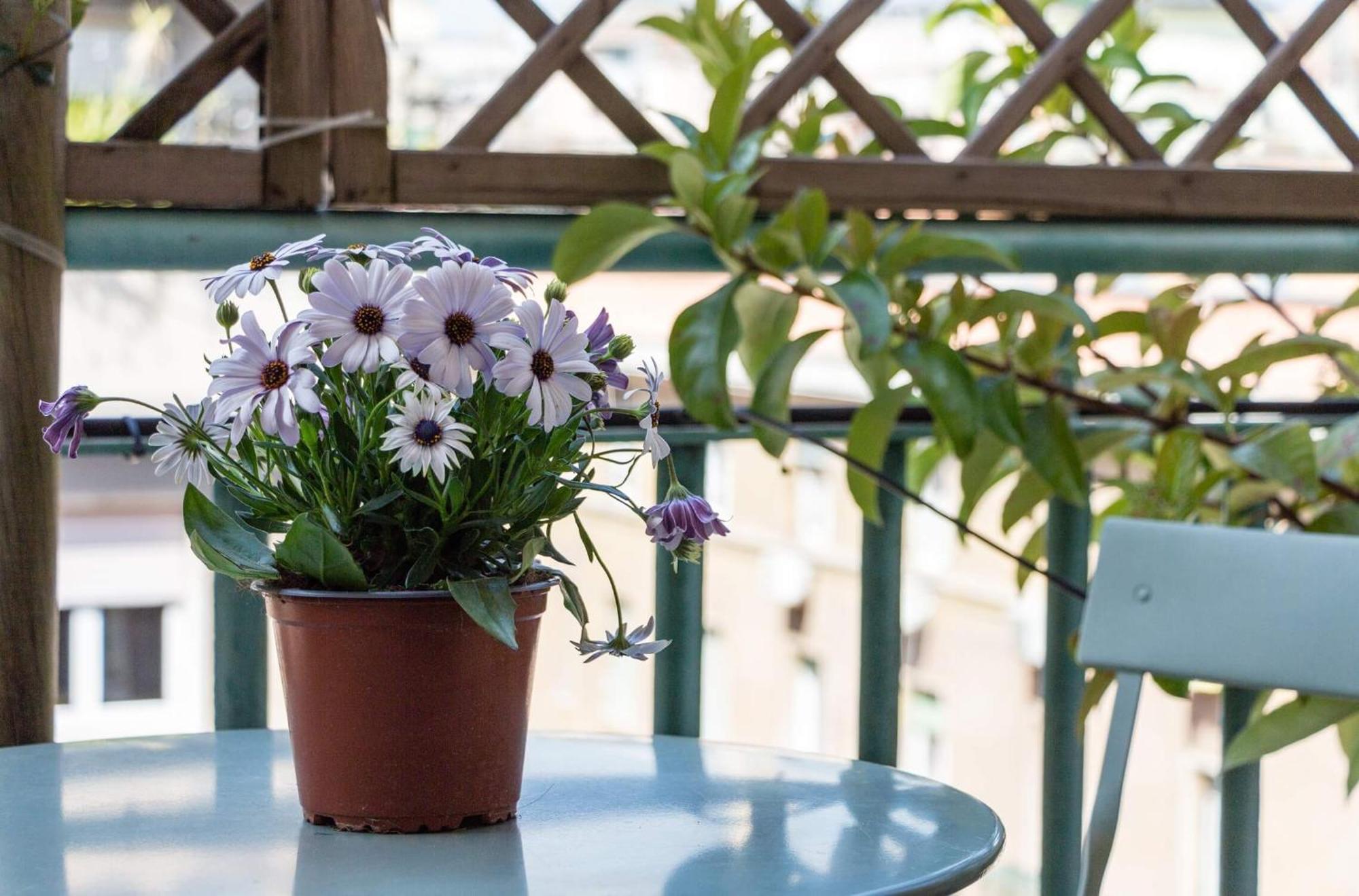 Torripa Group - Prati Guest house