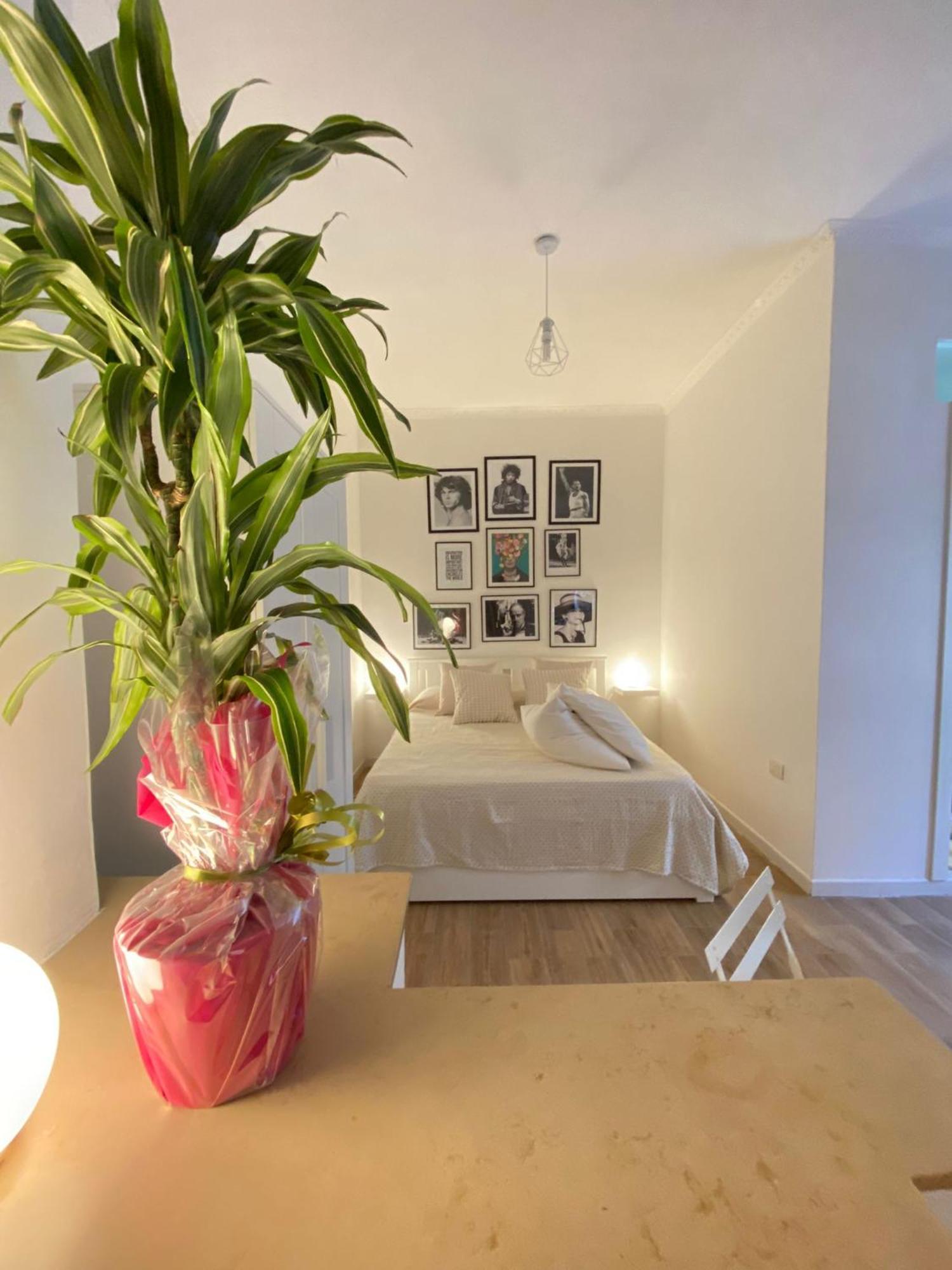 Rhomestudio01 Appartement