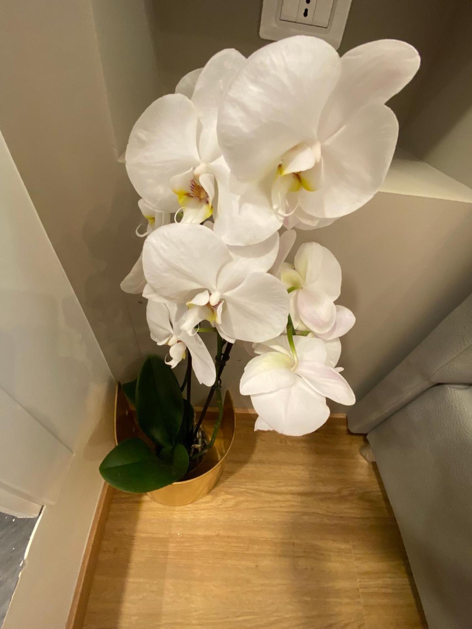 Guest house De Vince - Luxury - Termini Rome