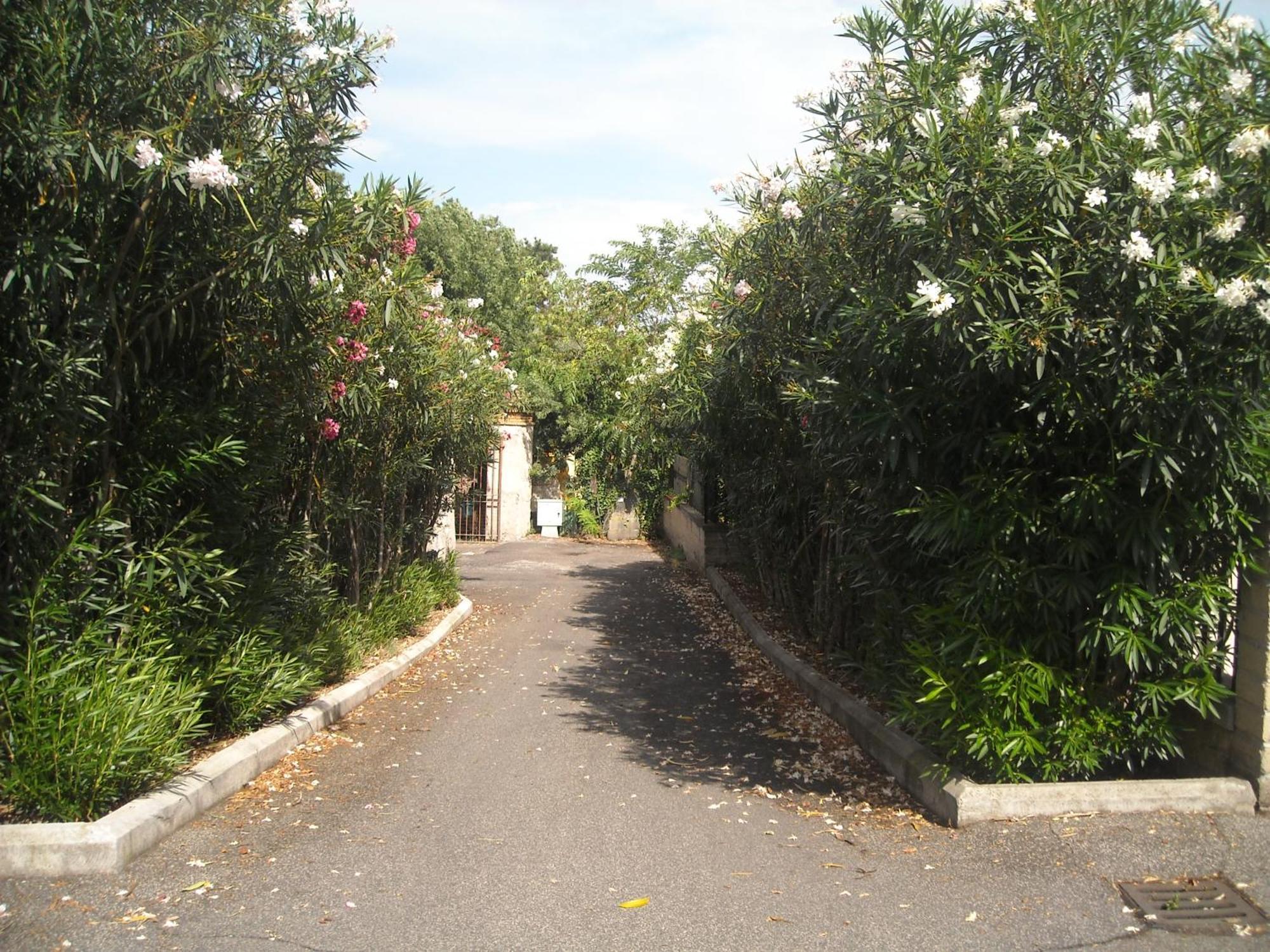 Studioflat Battistini * Rome