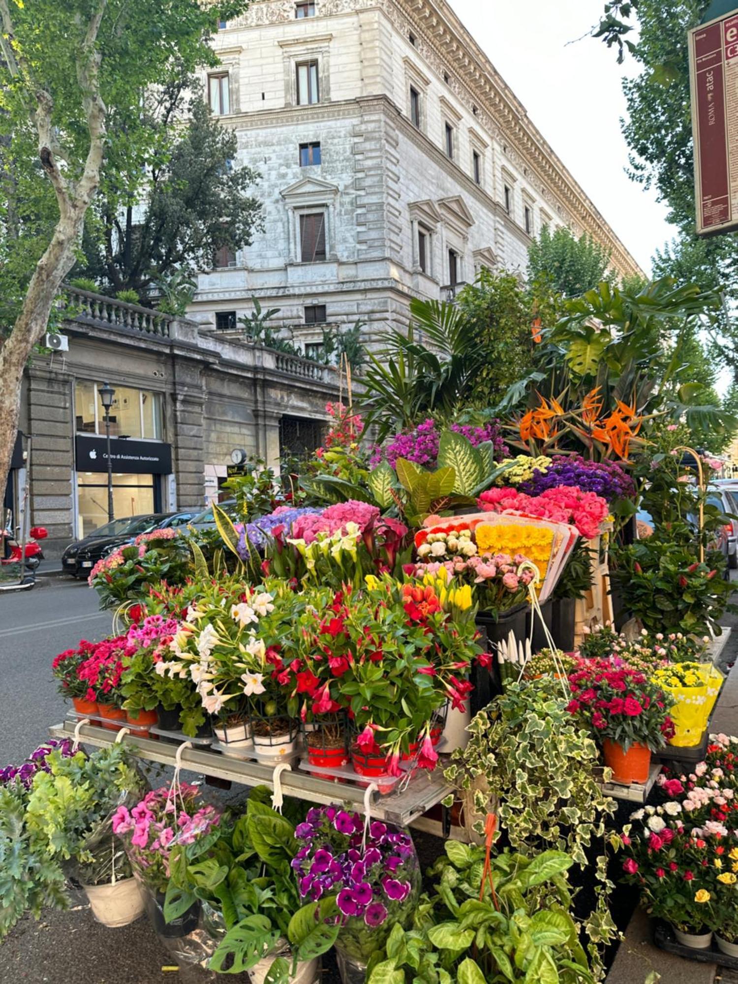 Candia Bed & Breakfast Rome