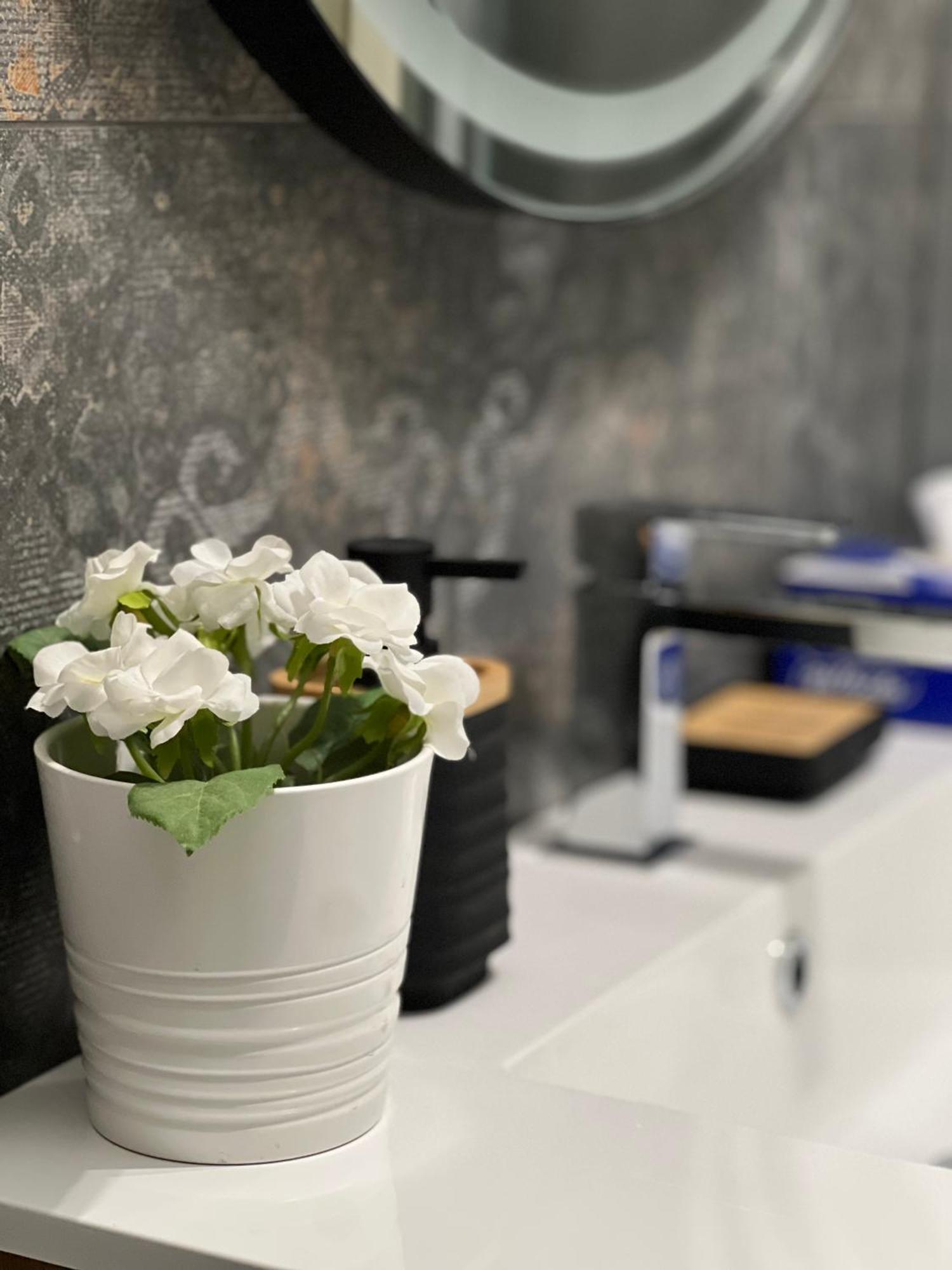 Plumbird Boutique & Apartment