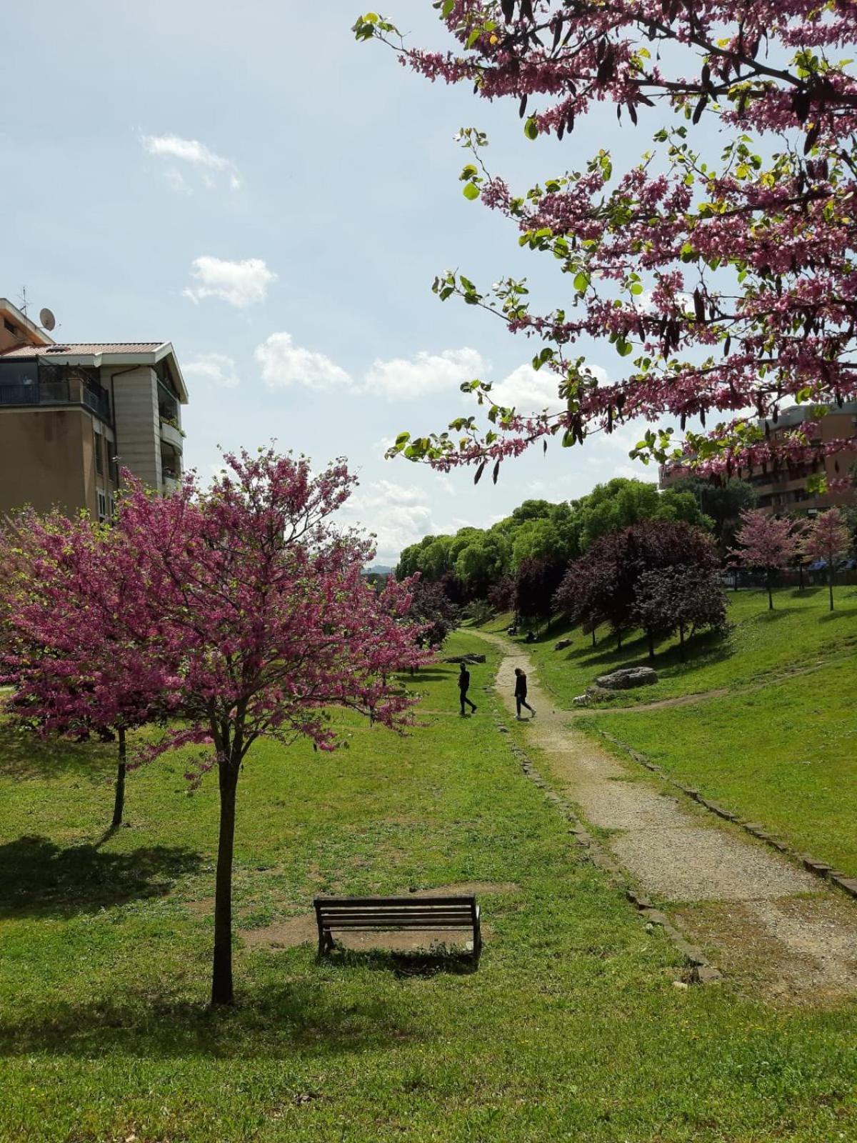Apartamento Miro House Capannelle Roma