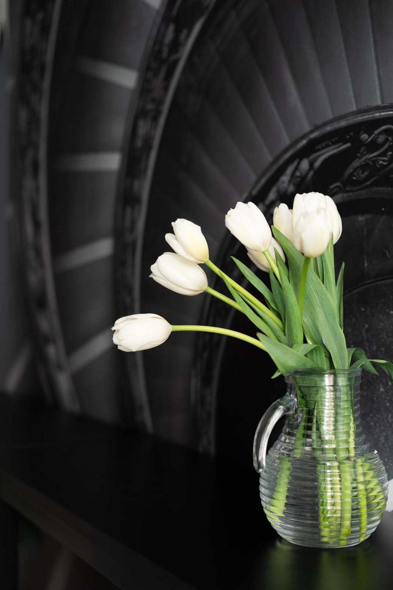 Iflat New Spacious & Classy In Monti Appartamento Roma