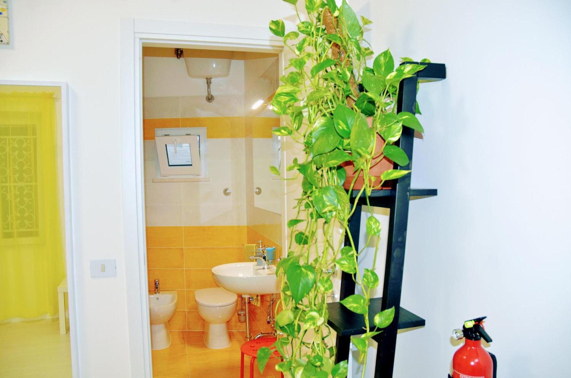 Loft Indipendente Vicino L'universita Torvergata * Rome