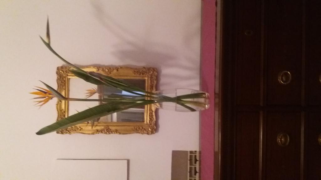 Il Marchese Del Grillo Guest house *