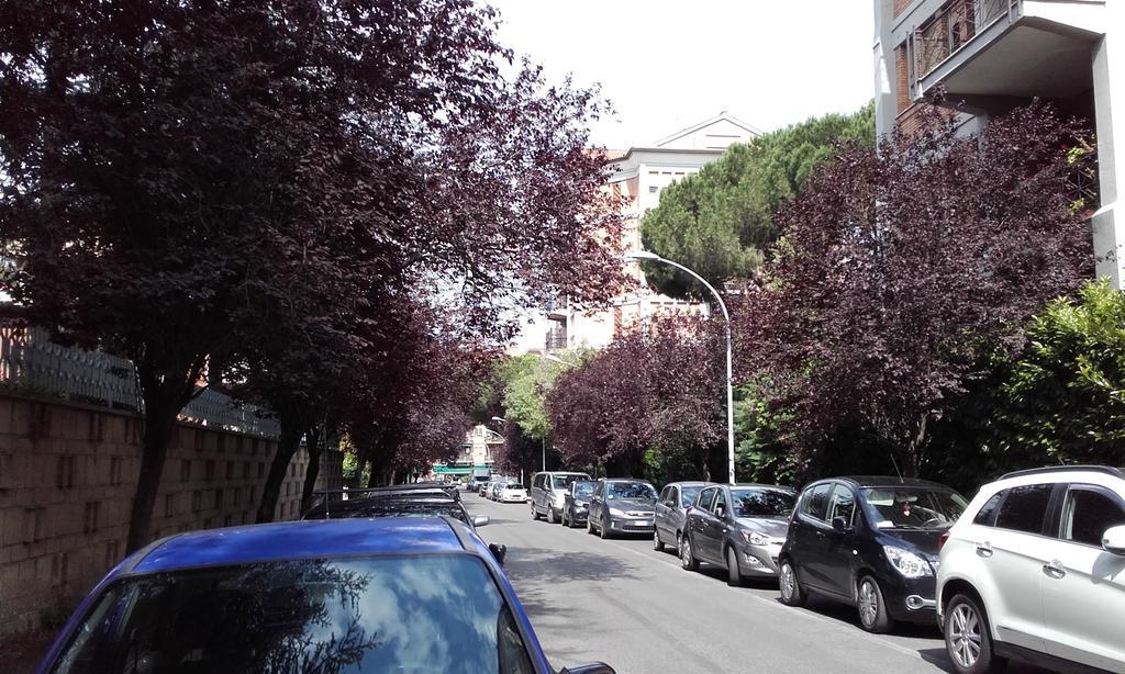 Bed & Breakfast Il Giardino Di Zorro