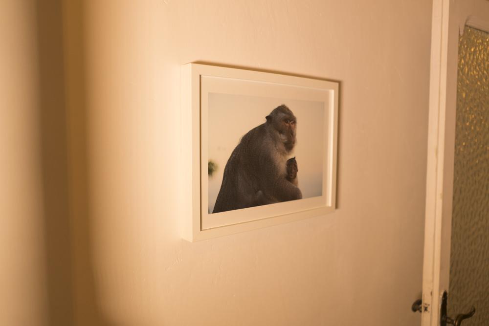 Guest house Trastevere Corner Eight Rome