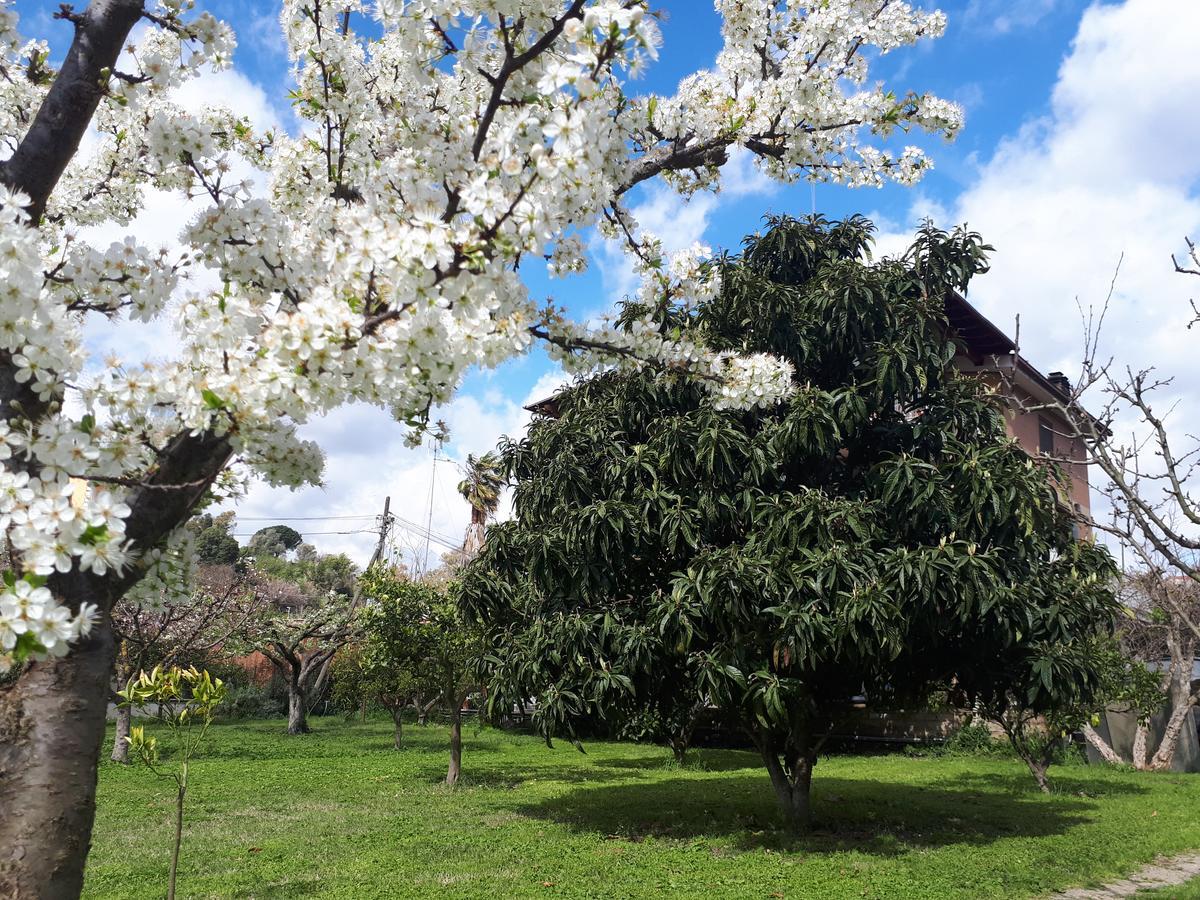 Il Giardino Di Gabri Rome