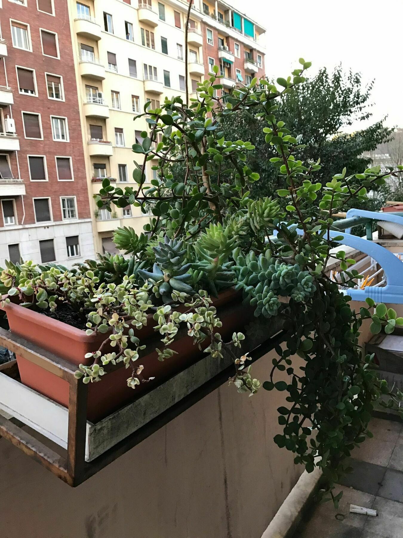 Pardis Guest house 3*
