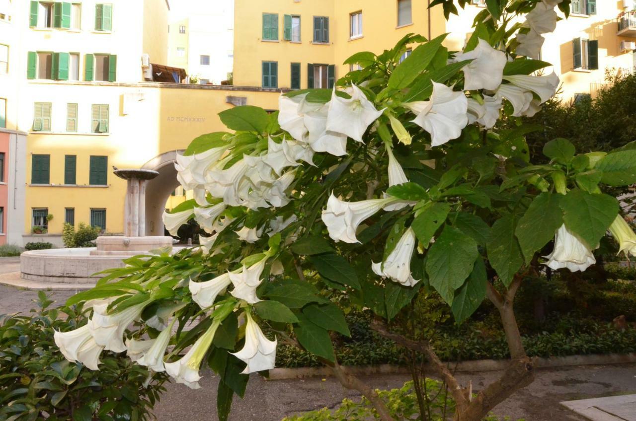 Bed & Breakfast La Fontana Nel Cortile