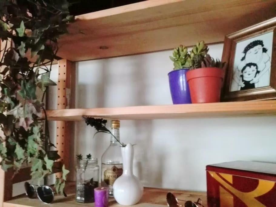 Nohipster Domus / Lavanda Holiday home *