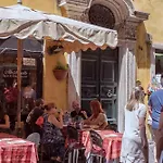 Trevi\'s Sweet Paradise