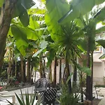 Casa Mario