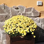 Il Portoncino Verde