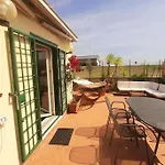 Amazing Studio With Terrace