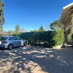 Torrenova 22