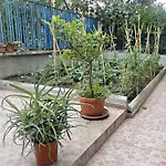 Lunablu