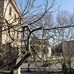 T&V House