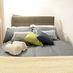 Home Alex